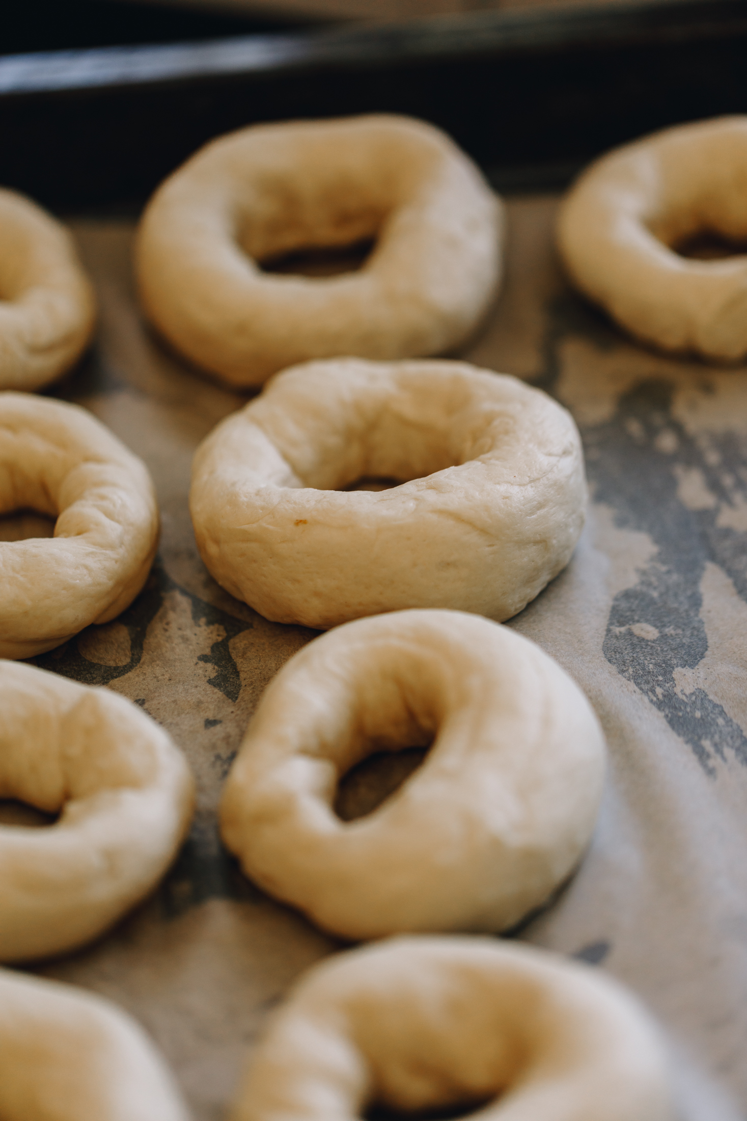 A tray of unbaked bagels on a black tray, lined with baking paper. 